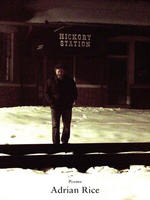 cover image of Hickory Station